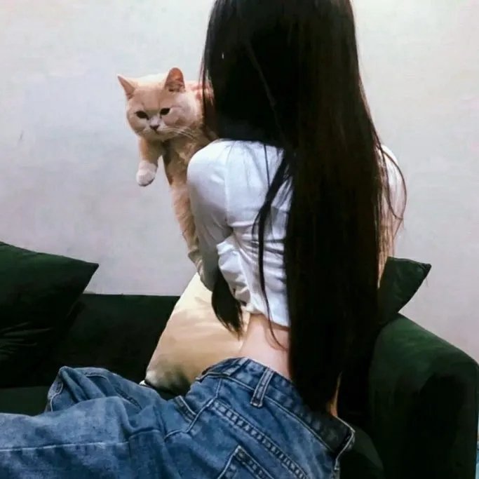 危险第三情
